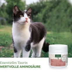 Aniforte Taurin 100g -Katzenbedarf Rabatte 0bea68d016a7aabae30732000f396c44a019efd7 1472617 de DE b3dae817e7a2eb80d599635916b5cd68212f13aaKMDIbR