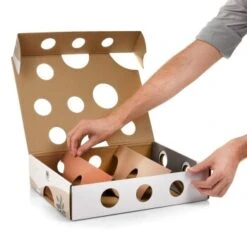 Canadian Cat Company Katzenspielzeug MagicBox -Katzenbedarf Rabatte 142300badb79cca7ad6d02f165f6adb72822700a 1361887 de DE 0a0d8e236e46b38b19bc65d2f7a8b14b65d84da00feNa3