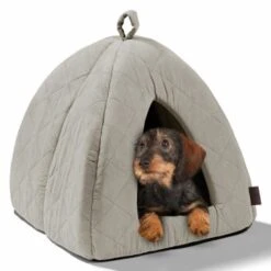 MORE Höhle Diamond -Katzenbedarf Rabatte 1901edb64570eb8cb38c0e72458280ff138dcb40 856e9f8ef094dc77c4e2ce9e6d85768bffa721c6