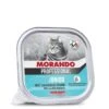 MORANDO Pastete Junior 32x100g -Katzenbedarf Rabatte 2276f1c97d70c031b081eda7fa74265391653e82 1473795 de DE a3ef43f68039179b685e6781f898a71001e23eb7r2Nxzi