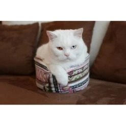 Canadian Cat Company Katzenschiff LUNA -Katzenbedarf Rabatte 2a794931f9263820d298c92486fc08c7b5fe3a35 1412669 de DE 46780a4b5da8fe052e5be00462eb02991658c41f2ZgeMs