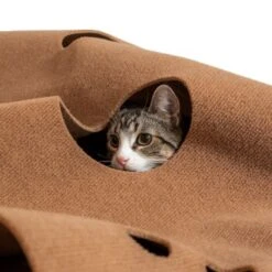 Canadian Cat Company Spielteppich Für Katzen Braun 10 Canadian Cat Company Spielteppich Für Katzen Braun -Katzenbedarf Rabatte 2d410486173eb6739126d1af73ad3230c308a43d 1394213 de DE 2f11fbac0571dcc5ff170aac428c7150347b9b8ccw1yKZ