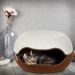 Canadian Cat Company Filz Katzennest 2.0 Weiß -Katzenbedarf Rabatte 2d709df44822ed1c554e77257ea4f2826b7f6ee6 1412670 de DE f4bc2f42c404e1ae32cb86346c8e995f0178b889j3OAow