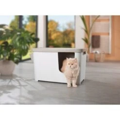 MORE FOR Katzentoilette XXL Titan 10 MORE FOR Katzentoilette XXL Titan -Katzenbedarf Rabatte 331a65ecbdbda6a54304894f23caf93293414f9a 41a7dcb3b92b8da7531785b268f381c1b25bbf04