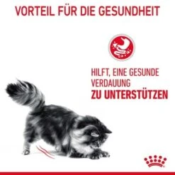 ROYAL CANIN Digestive Care 10 Kg -Katzenbedarf Rabatte 33836b78e4dfe5d72c6cf6742ac3f6af2f72a25c 1084985 4