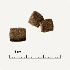 REAL NATURE WILDERNESS Adult Mixpaket Mixpaket 1, Mix-Pack 12 REAL NATURE WILDERNESS Adult Mixpaket Mixpaket 1, Mix-Pack -Katzenbedarf Rabatte 38c9fddfde6e364977836a7419845bd5679c428a 1267097 de DE 6 savannah 1173938004