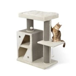 MORE Kratzbaum Edward -Katzenbedarf Rabatte 3dbf59e3cce477fabe3045964c3b31542fd34f93 a301cd96a03fc3e3e31f0cea97769d1447bd4627