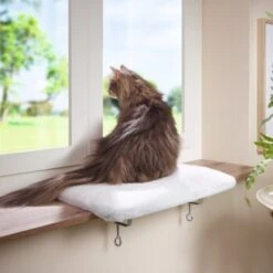 AniOne Fensterliegeplatz 8 AniOne Fensterliegeplatz -Katzenbedarf Rabatte 3ed1f86bcd38eea7f6bb469869d0ceabbf14e73e 08d7fb7b3ea8513f40155b969787349e3e9059aa