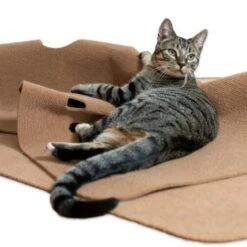 Canadian Cat Company Spielteppich Für Katzen Braun 12 Canadian Cat Company Spielteppich Für Katzen Braun -Katzenbedarf Rabatte 446d45749f5e58cb5a7dbc00eb3558dbe40784fe 1394213 de DE 80770b9625226d955903498b97e7018485822aeeDB3L2u