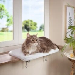 AniOne Fensterliegeplatz 9 AniOne Fensterliegeplatz -Katzenbedarf Rabatte 48b4c875f72788d493de559eab0e5688d72d5fb7 b558c550dc7f6e4c2f13fbb0d43c30b225535e90