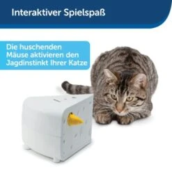 PetSafe Automatisches Katzenspielzeug Cheese 14 PetSafe Automatisches Katzenspielzeug Cheese -Katzenbedarf Rabatte 4bf213762b84458348ad4dde222bccd0d8e6f0a8 1418723 de DE 66b781419c3a9a05dbaecf1b142c67f8ea6f21fbRLCfdd