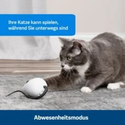 PetSafe Automatisches Katzenspielzeug RoloRat -Katzenbedarf Rabatte 4e48313abe110e77b48862456b3054c8cbc622dd 1351522 de DE cc35ab35cec54291341f643ff079f60e72f56895BvuHXl