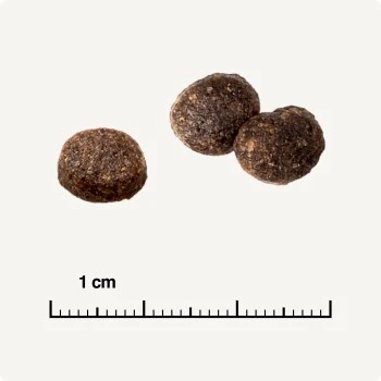 REAL NATURE WILDERNESS Adult Mixpaket Mixpaket 1, Mix-Pack 4 REAL NATURE WILDERNESS Adult Mixpaket Mixpaket 1, Mix-Pack – Bild 2