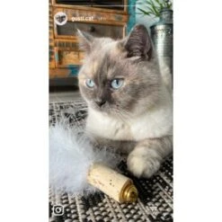 Kater Kasimir Deluxe Set Mit 9 Beliebten Katzenspielzeugen Aus Naturmaterial Und Handgemachtem CATMOM Armband 13 Kater Kasimir Deluxe Set Mit 9 Beliebten Katzenspielzeugen Aus Naturmaterial Und Handgemachtem CATMOM Armband -Katzenbedarf Rabatte 53dfde9e2fe82dcabccac0c3ca73172551111df6 1408141 de DE 911e17a5e45692f3789ac8bc9aee946048898d74cBDD0E