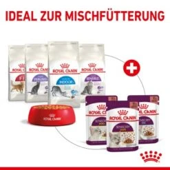 ROYAL CANIN SENSORY Taste In Gelee Für Wählerische Katzen 12x85g -Katzenbedarf Rabatte 568b3c97dc75b630cb8553b47c690f1b60ec1147 2eb8c2e403a7d9180bf5ffc8ee25035aa1ddb615
