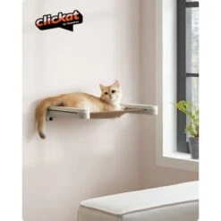 FEANDREA Clickat Katzenmöbel 3er Set, Für Die Wand -Katzenbedarf Rabatte 60f69f4a642f0d59e84f4714b442d728b55f724b 1681459 de DE a39910e1400039cebe0247b4991dedcb1a62d9ddWMEogu