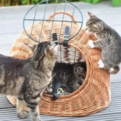 Aumüller Rattanhöhle Gesottene Weide -Katzenbedarf Rabatte 644da56b8da52f185185b101fb3460690748ee17 ed38553d0e52453b951e62f08b371eb8a64cf3ed