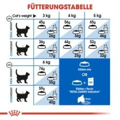 ROYAL CANIN Home Life Indoor 27 10 Kg 13 ROYAL CANIN Home Life Indoor 27 10 Kg -Katzenbedarf Rabatte 6855ea56169c61d168abae97a8d80ba01554e9eb 688c4066a69b0c3b06fbf04bd78e076cef620042