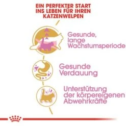 ROYAL CANIN Maine Coon Kitten 4 Kg -Katzenbedarf Rabatte 762fe3d95c521f1c9aed31bc11ea5f813cb64625 48abad1c00ba32352c5f4e40b8a5a9d5e4dec65f