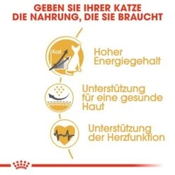 ROYAL CANIN Sphynx Adult 10 Kg -Katzenbedarf Rabatte 7ad1bdc3999349cafae1459c3c182b6552d5adfd b7ee4724e59d51ce320d09e32faae7a8df47303e