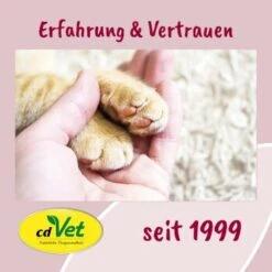 FeliTATZ FellGlanz -Katzenbedarf Rabatte 7b983d72d2823b0db9ac615f4b9eda9a9cc31838 1666313 de DE bfdb4b813f4d094cdfef4c88f0fa4e20008c32c8J2LDce