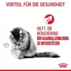 ROYAL CANIN Hairball Care 12 X 85 G -Katzenbedarf Rabatte 81812c97ef6be37b8d0c7dab9df24712cfb21604 1229818 4