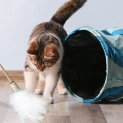 Kater Kasimir Premium Paket Mit 7 Beliebten Katzenspielzeugen Aus Naturmaterial -Katzenbedarf Rabatte 84f221d79ef76f1b4f2f0037d329c11c6fce3a33 1408152 de DE 294269527f07b1898ca7562c986e956043828d3cA8xBpO