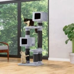 Europet Bernina Europet Kratzbaum Rock Western Inn -Katzenbedarf Rabatte 869215a332e25bf438ec3db045887f14fd6d55aa e3d3f3a67b38ea78ba759f4057d3f0f500ce65b5