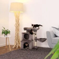 Lionto Kratzbaum 70 Cm Dunkelgrau -Katzenbedarf Rabatte 8c11784037ac3e2ef804ca5293fa33ee4027aaa6 1657042 de DE 21fa51fb609e55a7951db82c2479fc2519de47deP6TGfC