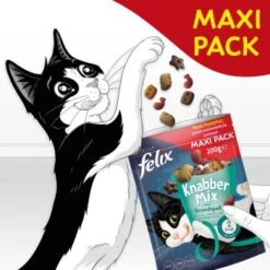Felix KnabberMix 5x200g Strandspaß -Katzenbedarf Rabatte 8fd1ad46501b4c142c4d5be252f6aa66def0dbc9 1366669 de DE felix snacks wb7