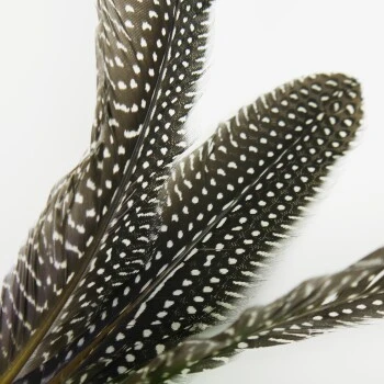 Schlitzohr Katzenangel Federanhänger 5x 9 Schlitzohr Katzenangel Federanhänger 5x – Bild 7