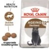 ROYAL CANIN Ageing 12+ Sterilised 4 Kg -Katzenbedarf Rabatte 9802dd133559937b704068f6cc8306b45b98c2ea c94ee72411cd7bd6a72a1493c122daa72c82a5e1