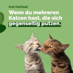 Almo Nature Almo Holistic Anti-Hairball 30x70g Mit Huhn -Katzenbedarf Rabatte 9a54cc0b5b16a66888a5cf0f14d45fa382294bc6 1479696 3 de