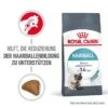 ROYAL CANIN Hairball Care 10 Kg -Katzenbedarf Rabatte 9d328c2652644636a2530265d03ae348cf311e74 1003122014 2