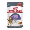 ROYAL CANIN Appetite Control Care 12 X 85 G