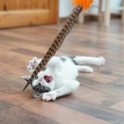 Schlitzohr Federwedel Birdy 3er Pack 17 Schlitzohr Federwedel Birdy 3er Pack -Katzenbedarf Rabatte b2468018bd2b888c11ee64154d86732de60c7830 1659562 de DE 7d36675a42a956412d003b03e1f072b0ae0379063UsHBd