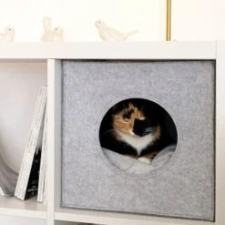 Lionto Katzenhöhle Aus Filz + Kissen - Regalhöhle Hellgrau -Katzenbedarf Rabatte ba38cb426515f287554cca1376691e8fc1f2c06c 1657087 de DE 1787a06f3e708c0b40c07cda94f11d1c11828f21AhrPBZ