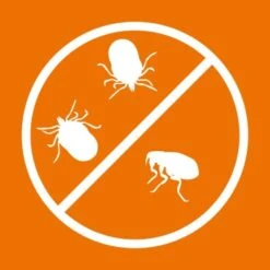 Ardap Spot-On Für Katzen S -Katzenbedarf Rabatte c00afedd838d70c54a5287206443466647f5dedf 1150895 de DE 216402434a597a152b5e3e2d02d3c041c3a61282I3NWL5