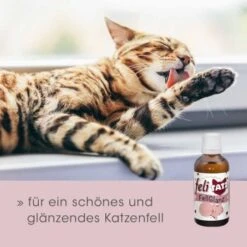 FeliTATZ FellGlanz -Katzenbedarf Rabatte c632389ff5554b3f77a4c07b5dcd4d35f428a2c1 1666313 de DE aef5012fb4dd575d53ef4492b6faf7c4f11752ddfl85CX