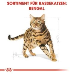 ROYAL CANIN Bengal Adult 10 Kg -Katzenbedarf Rabatte cb3c9b745b0cf6e86ca2308b544461de43105143 e7122eb5a9e8a316aad32423edb5418ecd6d24cd