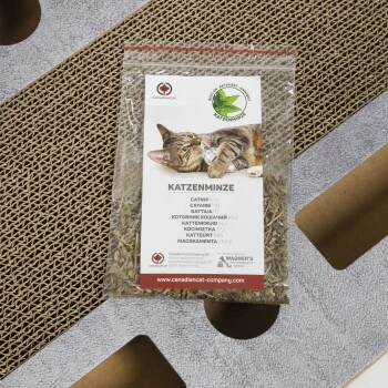 Canadian Cat Company Katzenspielplatz PlayPlate L Hellgrau 5 Canadian Cat Company Katzenspielplatz PlayPlate L Hellgrau – Bild 3