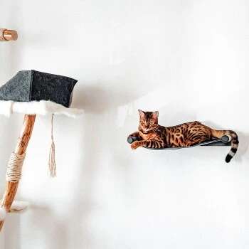 Canadian Cat Company Filz-Hängematte Für Die Wand 10 Canadian Cat Company Filz-Hängematte Für Die Wand – Bild 8