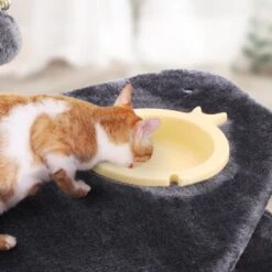 FEANDREA Mit Fressnapf Hellgrau Dunkelgrau -Katzenbedarf Rabatte e0612f58e6cb8d822363112fdb47bb295de5e04a 1483606 de DE e41e735793de6f9347f2d50bd4d135ecb01beb8bnoaNEc