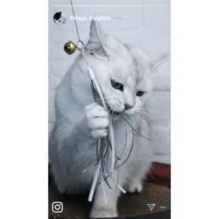 Kater Kasimir Premium Katzenangel Mit 4 Handgemachten Anhängern Aus Naturmaterial 11 Kater Kasimir Premium Katzenangel Mit 4 Handgemachten Anhängern Aus Naturmaterial -Katzenbedarf Rabatte e6fe48d27b82d48675d665ee2a143e3c11de2fd9 1408150 de DE b29a5f7f2530ce6388e16e2600369d70b2ec0350kYn6B8