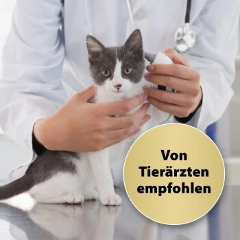 Felisept Home Comfort Nachfüller 45ml 4 Felisept Home Comfort Nachfüller 45ml – Bild 2