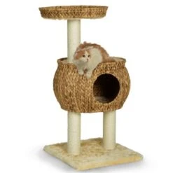 Silvio Design Kratzturm Cestino -Katzenbedarf Rabatte ef0a90672f1eb00d70c3cd19197169962e160ff2 a23d448577d51dcf93e2a088a7495518cff75b25