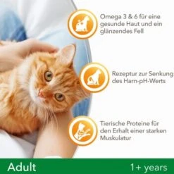 IAMS Vitality Adult Huhn 3 Kg -Katzenbedarf Rabatte f239d7ef57a6054553948e62d3d5feb16002578a 8361bd6d370c2f798bd71fa3242ca269884546de
