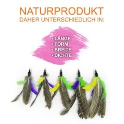 Schlitzohr Katzenangel Federanhänger 5x 15 Schlitzohr Katzenangel Federanhänger 5x -Katzenbedarf Rabatte f6a96b93601c3b2f6f7420ade3ecfe56542cca74 1484675 de DE b1d2fd29ad67016b9a6af908251d348edfa467f2BG8aWR